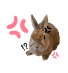 JOYちゃん♡（個別スタンプ：14）