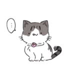 うちのかぎしっぽねこ（個別スタンプ：1）