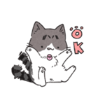 うちのかぎしっぽねこ（個別スタンプ：3）