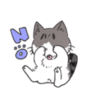 うちのかぎしっぽねこ（個別スタンプ：4）