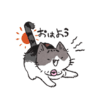 うちのかぎしっぽねこ（個別スタンプ：5）