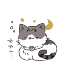 うちのかぎしっぽねこ（個別スタンプ：6）
