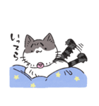 うちのかぎしっぽねこ（個別スタンプ：9）