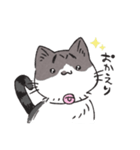 うちのかぎしっぽねこ（個別スタンプ：10）