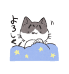 うちのかぎしっぽねこ（個別スタンプ：11）