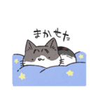 うちのかぎしっぽねこ（個別スタンプ：12）