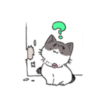 うちのかぎしっぽねこ（個別スタンプ：13）