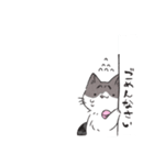 うちのかぎしっぽねこ（個別スタンプ：14）