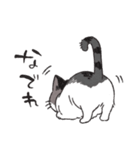 うちのかぎしっぽねこ（個別スタンプ：15）