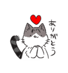 うちのかぎしっぽねこ（個別スタンプ：16）