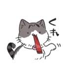うちのかぎしっぽねこ（個別スタンプ：17）