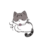 うちのかぎしっぽねこ（個別スタンプ：19）