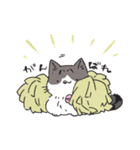 うちのかぎしっぽねこ（個別スタンプ：20）