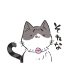 うちのかぎしっぽねこ（個別スタンプ：21）