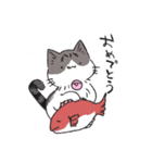 うちのかぎしっぽねこ（個別スタンプ：23）