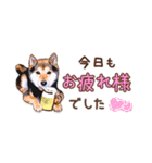 柴犬慎ちゃん いつも一緒♪小さな敬語編（個別スタンプ：6）