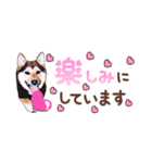 柴犬慎ちゃん いつも一緒♪小さな敬語編（個別スタンプ：12）