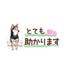 柴犬慎ちゃん いつも一緒♪小さな敬語編（個別スタンプ：20）