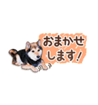 柴犬慎ちゃん いつも一緒♪小さな敬語編（個別スタンプ：24）