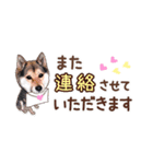 柴犬慎ちゃん いつも一緒♪小さな敬語編（個別スタンプ：36）