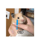 むんむんの日常2（個別スタンプ：1）