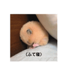 むんむんの日常2（個別スタンプ：2）