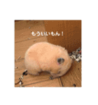 むんむんの日常2（個別スタンプ：3）