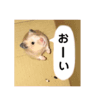 むんむんの日常2（個別スタンプ：4）
