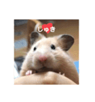 むんむんの日常2（個別スタンプ：5）