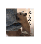 むんむんの日常2（個別スタンプ：6）