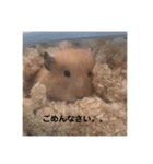 むんむんの日常2（個別スタンプ：7）