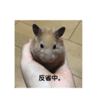 むんむんの日常2（個別スタンプ：9）