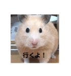 むんむんの日常2（個別スタンプ：10）