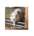 むんむんの日常2（個別スタンプ：13）
