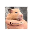 むんむんの日常2（個別スタンプ：14）