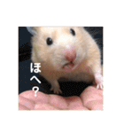 むんむんの日常2（個別スタンプ：16）