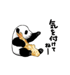 天ぷらパンダ（個別スタンプ：8）