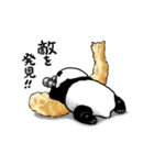 天ぷらパンダ（個別スタンプ：26）