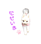 ポメポメみるく 日常『あいづち』（個別スタンプ：22）