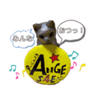 アンジュ♡Happyスタンプ☆2（個別スタンプ：4）