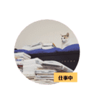 アーユルキャット7（個別スタンプ：15）