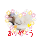 アーユルキャット7（個別スタンプ：21）
