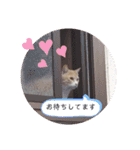 アーユルキャット7（個別スタンプ：22）