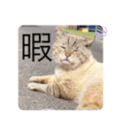 山名が作りました3（個別スタンプ：7）