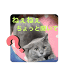 山名が作りました3（個別スタンプ：11）