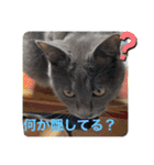 山名が作りました3（個別スタンプ：14）