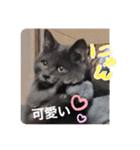 山名が作りました3（個別スタンプ：16）