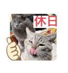 山名が作りました3（個別スタンプ：17）