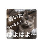 山名が作りました3（個別スタンプ：26）