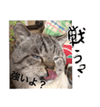山名が作りました3（個別スタンプ：27）